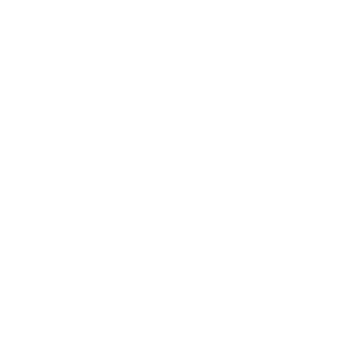 Software Tech Experience